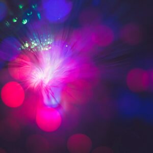 NetWatch Appoints New Service Manager for Rapid Police Reports Division