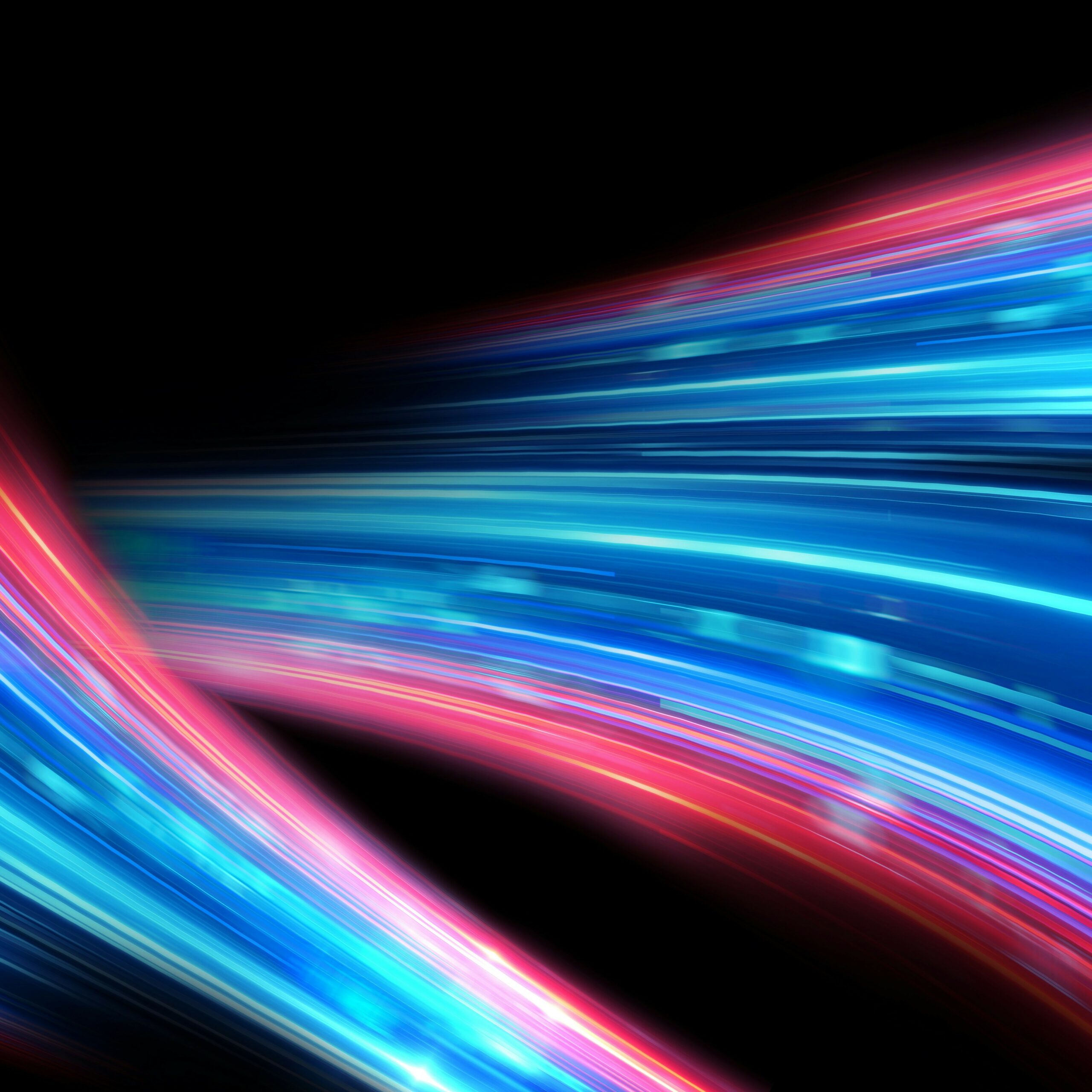 Strategic Growth in Action: Investing in Talent to Power NetWatch's Next Chapter